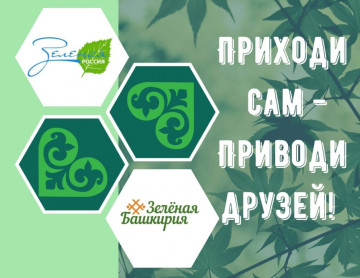 26 сентября 2020 года запланировано проведение Всероссийского экологического субботника «Зеленая Россия»